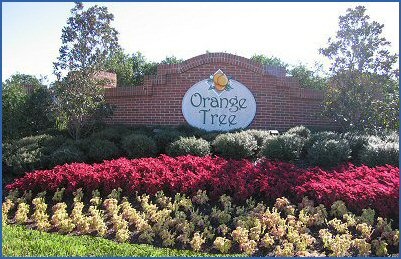 Orange Tree